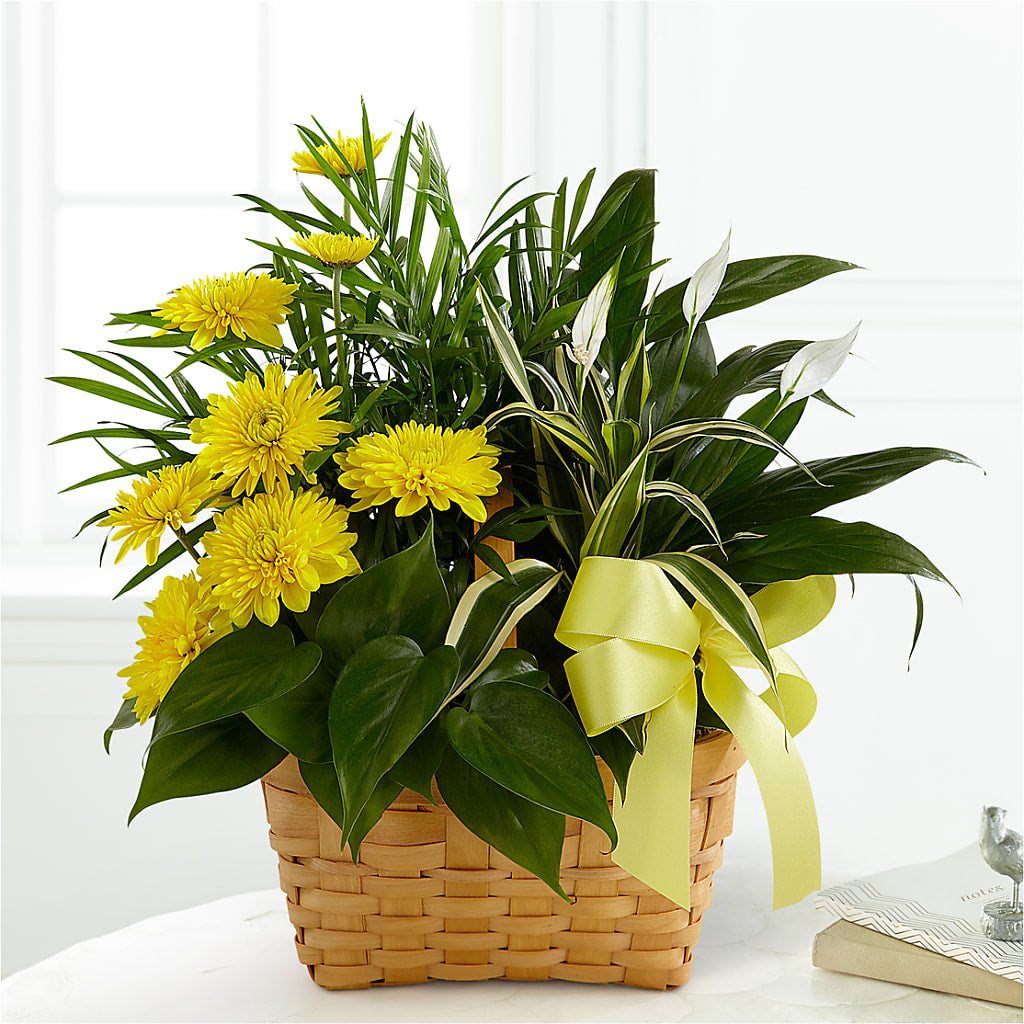 Loving Light Dishgarden – CELEBRATE SHOP & DECOR LLC, Lilburn GA