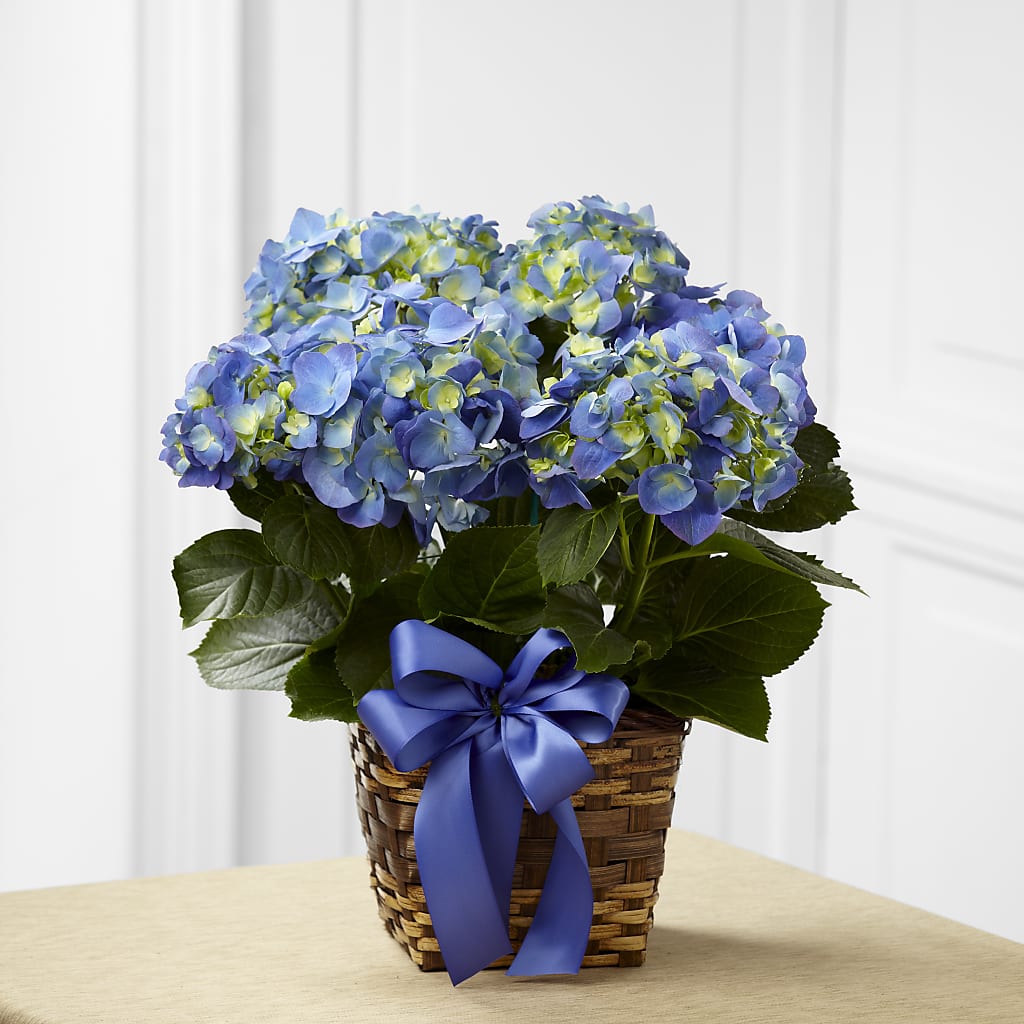 Blue Hydrangea Planter – CELEBRATE SHOP & DECOR LLC, Lilburn GA