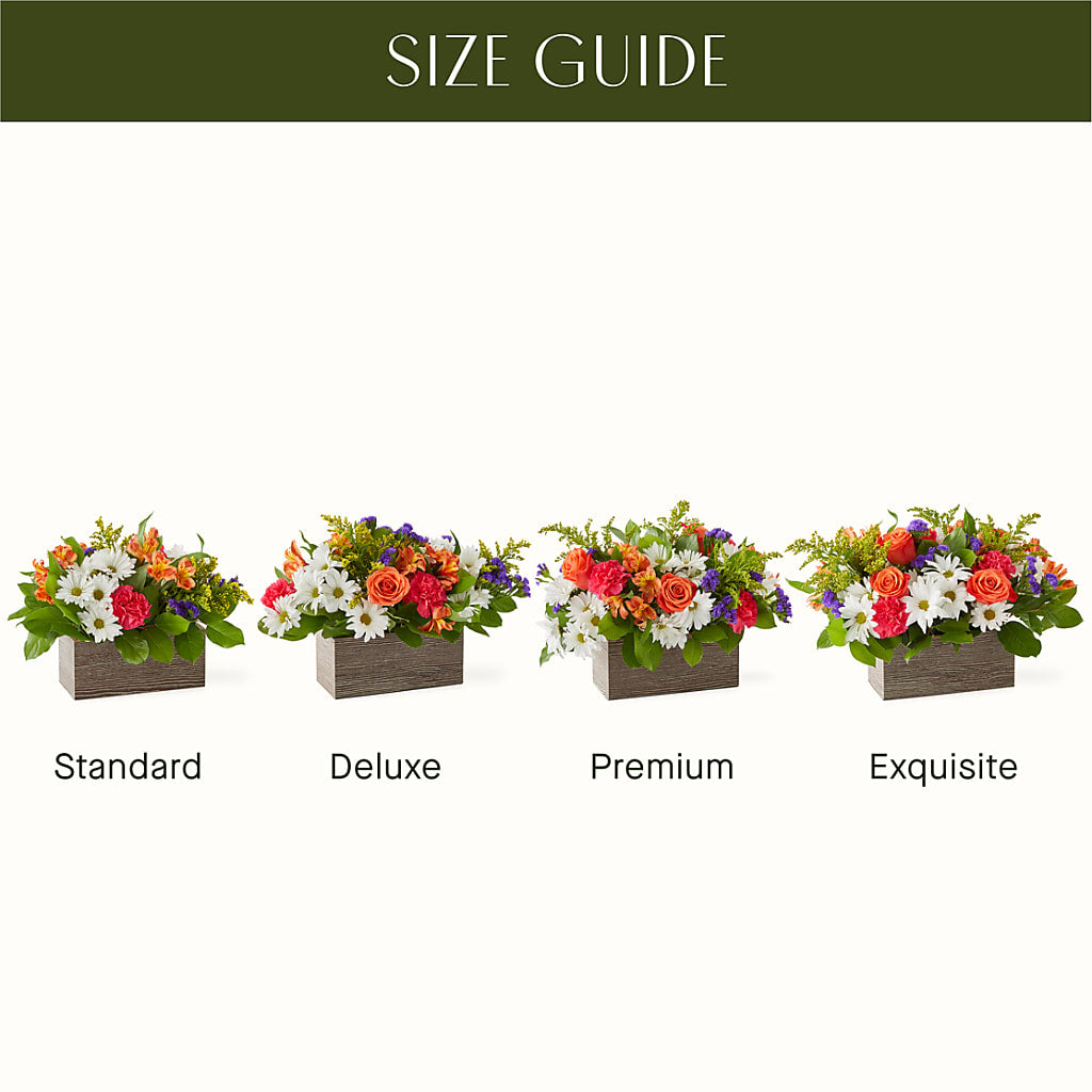 Oopsie Daisy Box Bouquet – CELEBRATE SHOP & DECOR LLC, Lilburn GA
