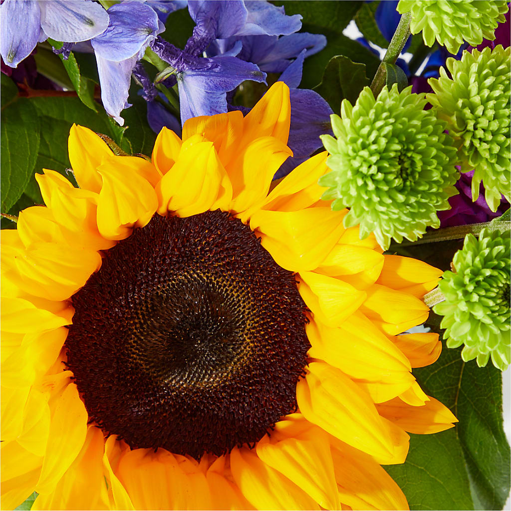 Catching Rays Bouquet – CELEBRATE SHOP & DECOR LLC, Lilburn GA