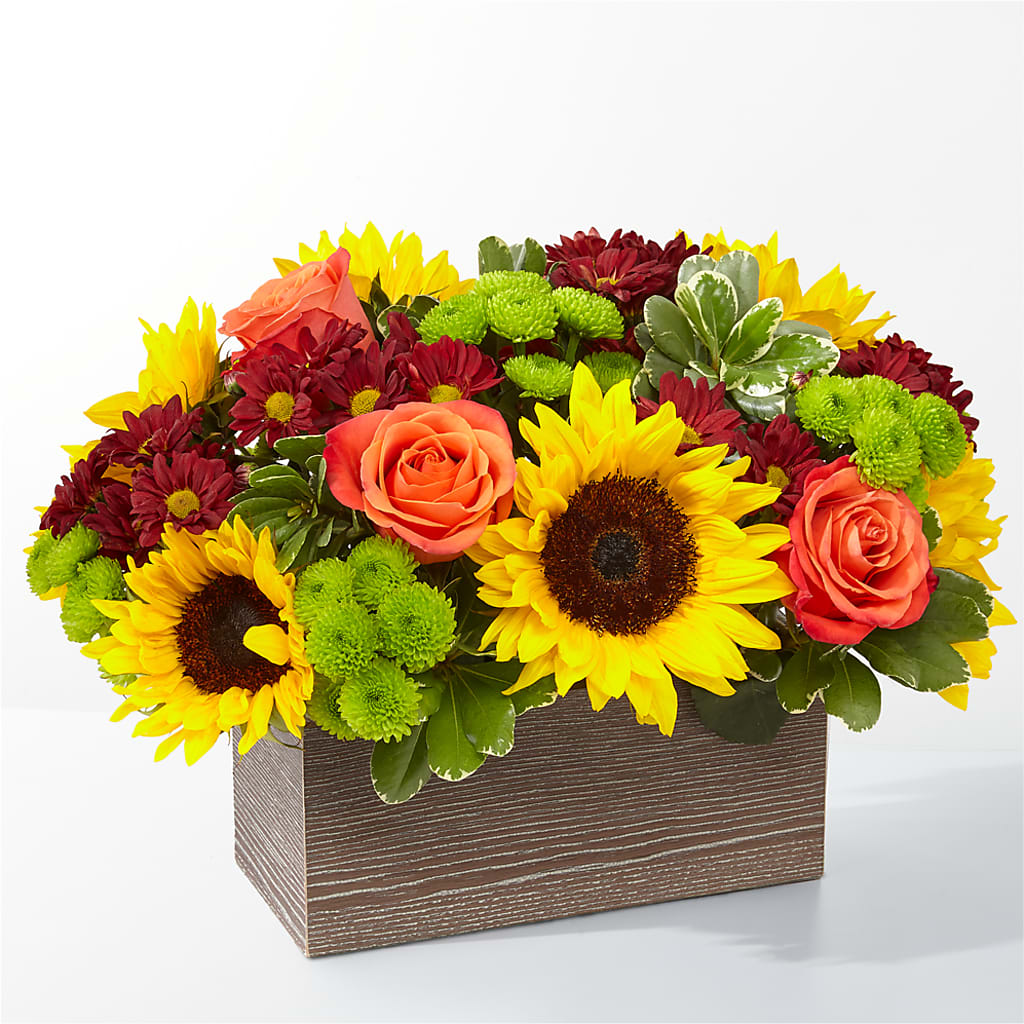 Happy Harvest Garden – CELEBRATE SHOP & DECOR LLC, Lilburn GA