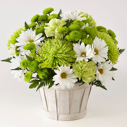 Lucky Charm Basket (Standard) – CELEBRATE SHOP & DECOR LLC, Lilburn GA