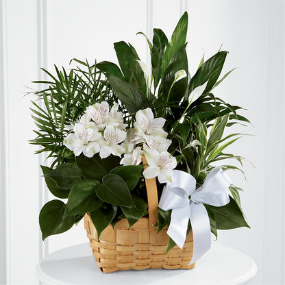 Peace & Serenity Dishgarden – CELEBRATE SHOP & DECOR LLC, Lilburn GA