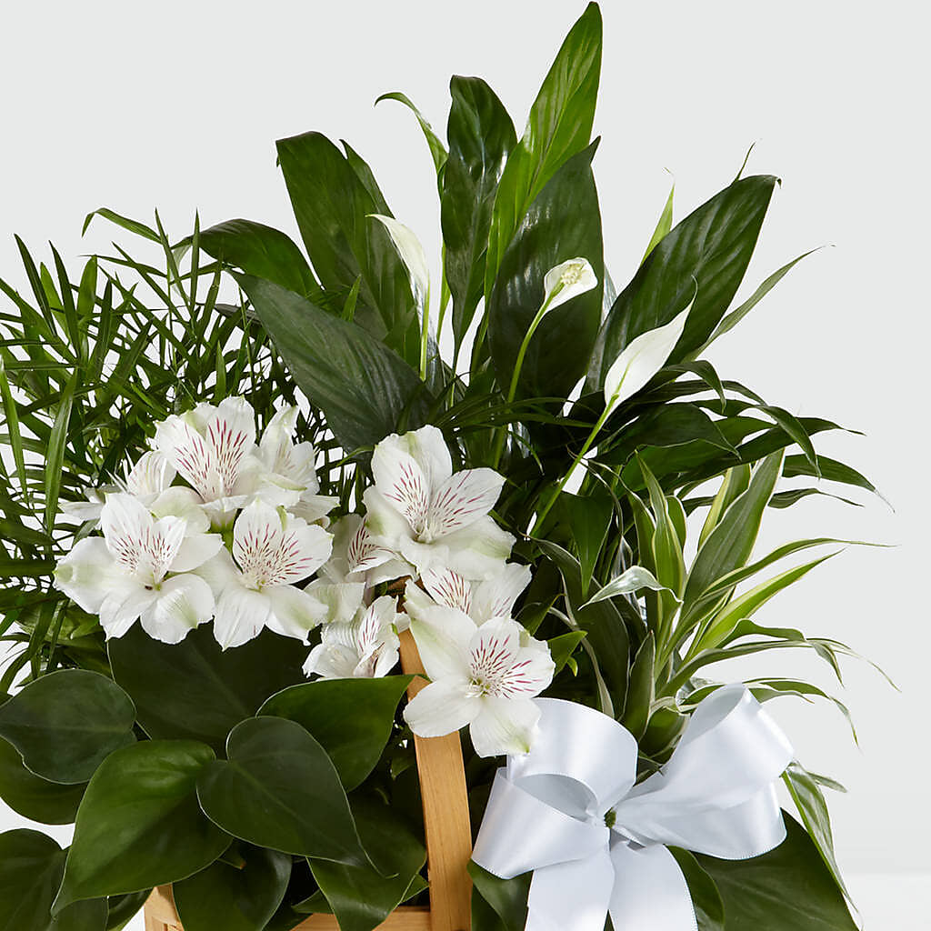 Peace & Serenity Dishgarden – CELEBRATE SHOP & DECOR LLC, Lilburn GA