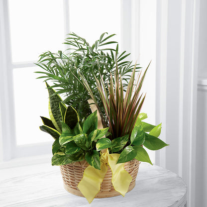 French Garden – CELEBRATE SHOP & DECOR LLC, Lilburn GA