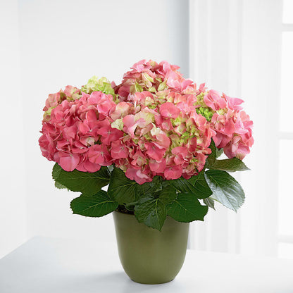 Pink Hydrangea Planter – CELEBRATE SHOP & DECOR LLC, Lilburn GA