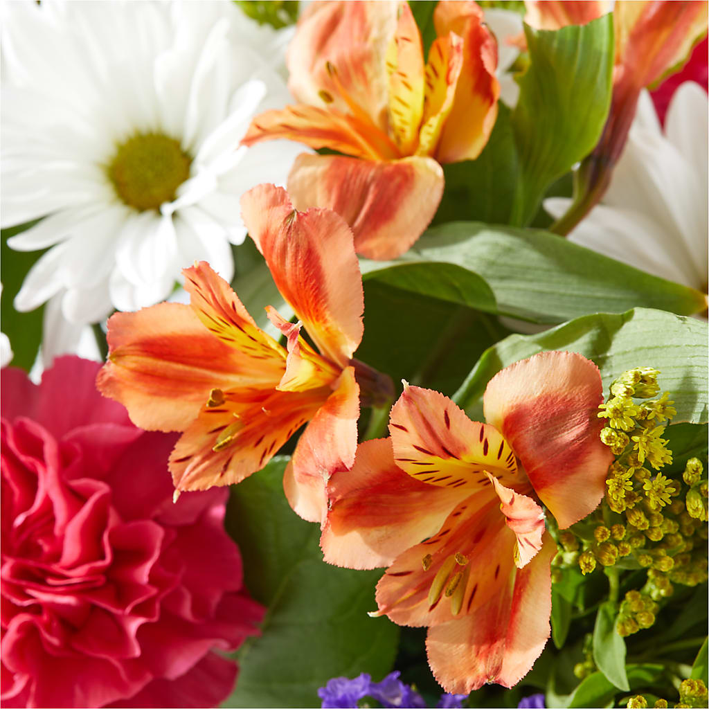 Oopsie Daisy Box Bouquet – CELEBRATE SHOP & DECOR LLC, Lilburn GA