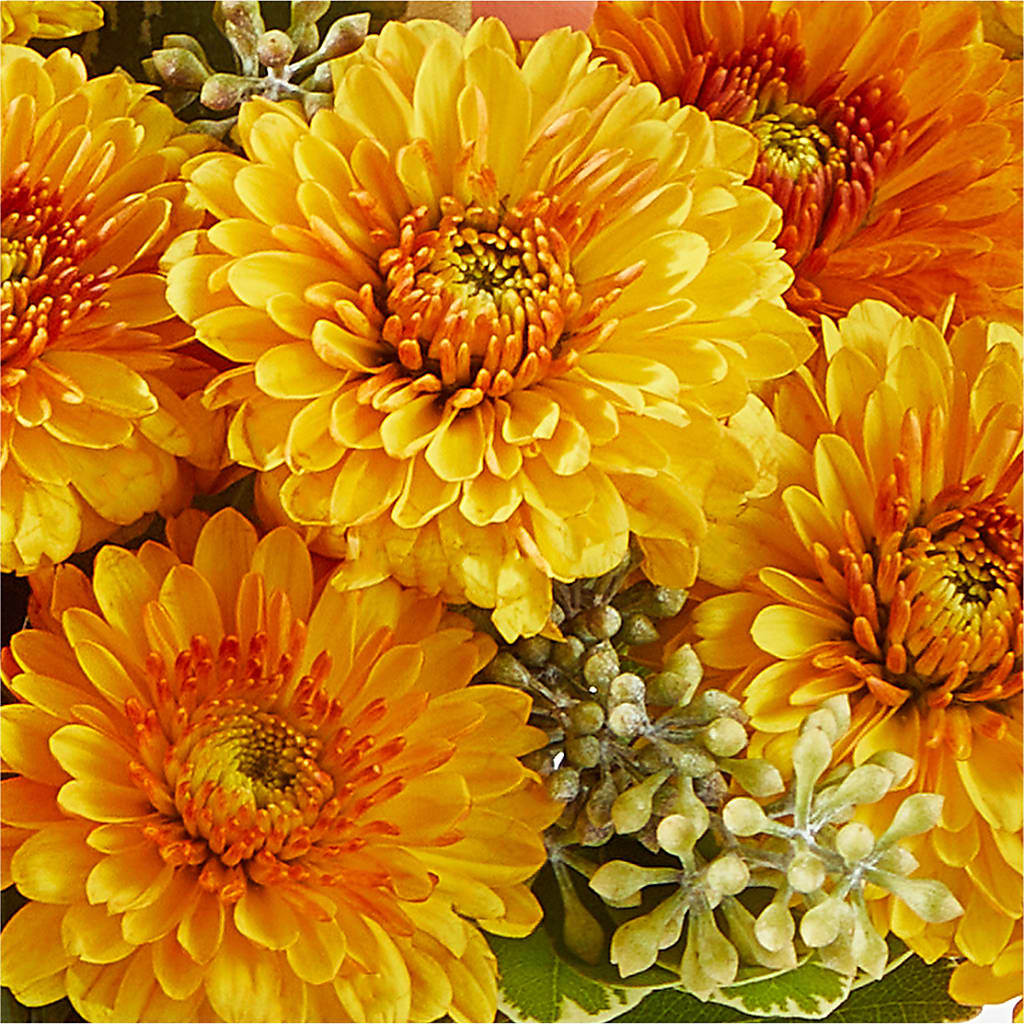 Peachy Pumpkin – CELEBRATE SHOP & DECOR LLC, Lilburn GA