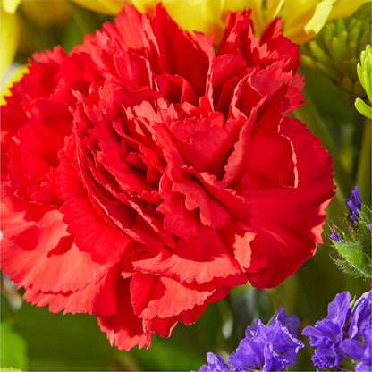 Brighter Days Bouquet – CELEBRATE SHOP & DECOR LLC, Lilburn GA