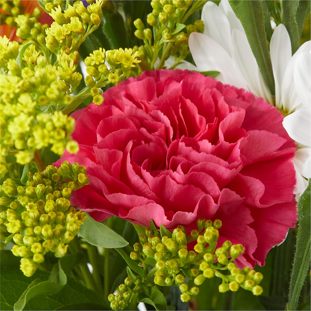 Oopsie Daisy Bouquet – CELEBRATE SHOP & DECOR LLC, Lilburn GA