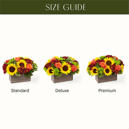 Happy Harvest Garden – CELEBRATE SHOP & DECOR LLC, Lilburn GA
