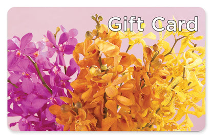 Gift Card – CELEBRATE SHOP & DECOR LLC, Lilburn GA