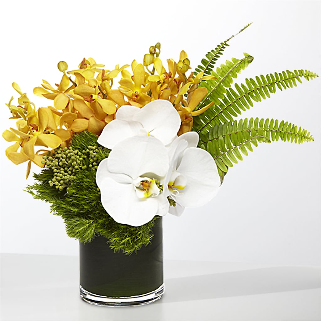The Tropics – CELEBRATE SHOP & DECOR LLC, Lilburn GA