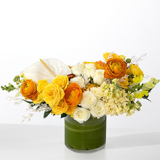 The Optimist – CELEBRATE SHOP & DECOR LLC, Lilburn GA