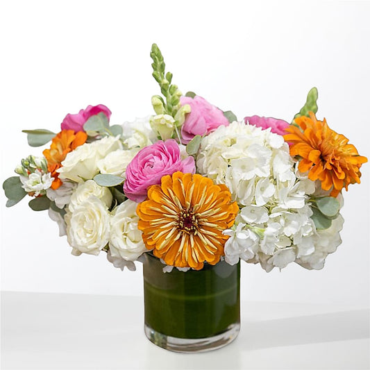 The Meet Cute – CELEBRATE SHOP & DECOR LLC, Lilburn GA