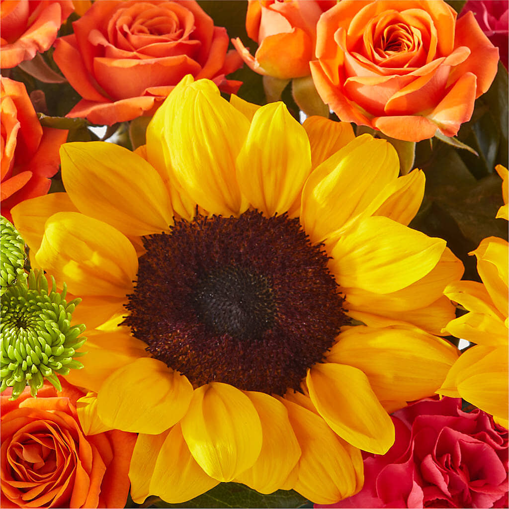 Sun-drenched Blooms Box Bouquet – CELEBRATE SHOP & DECOR LLC, Lilburn GA