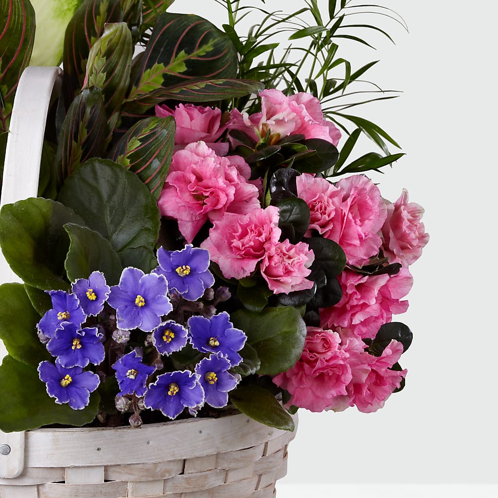 Peaceful Garden Planter – CELEBRATE SHOP & DECOR LLC, Lilburn GA