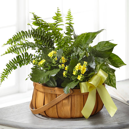 Always Dear Dishgarden – CELEBRATE SHOP & DECOR LLC, Lilburn GA