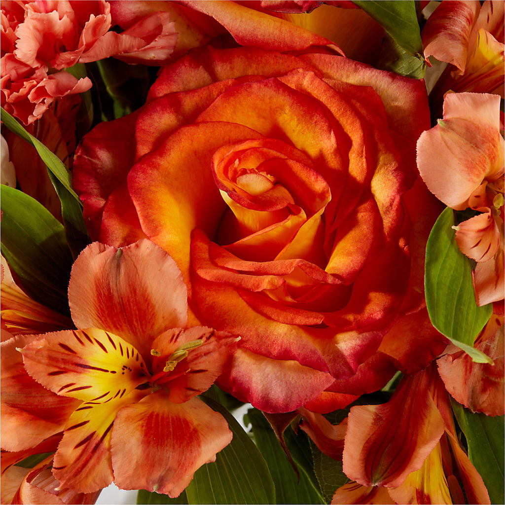 Apricot Glow Bouquet – CELEBRATE SHOP & DECOR LLC, Lilburn GA