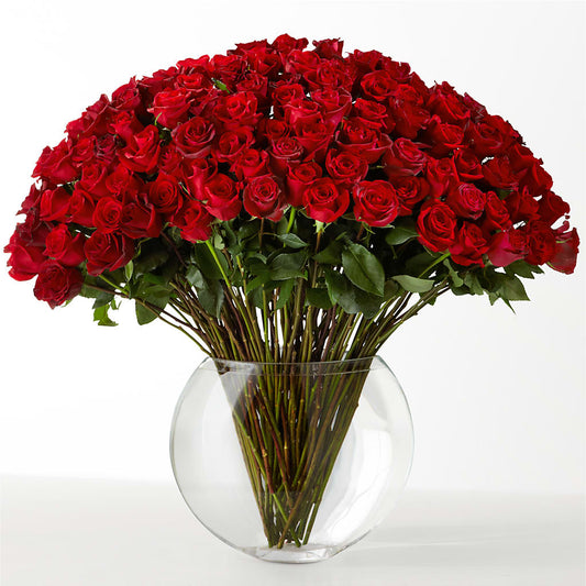 The Idealist – CELEBRATE SHOP & DECOR LLC, Lilburn GA
